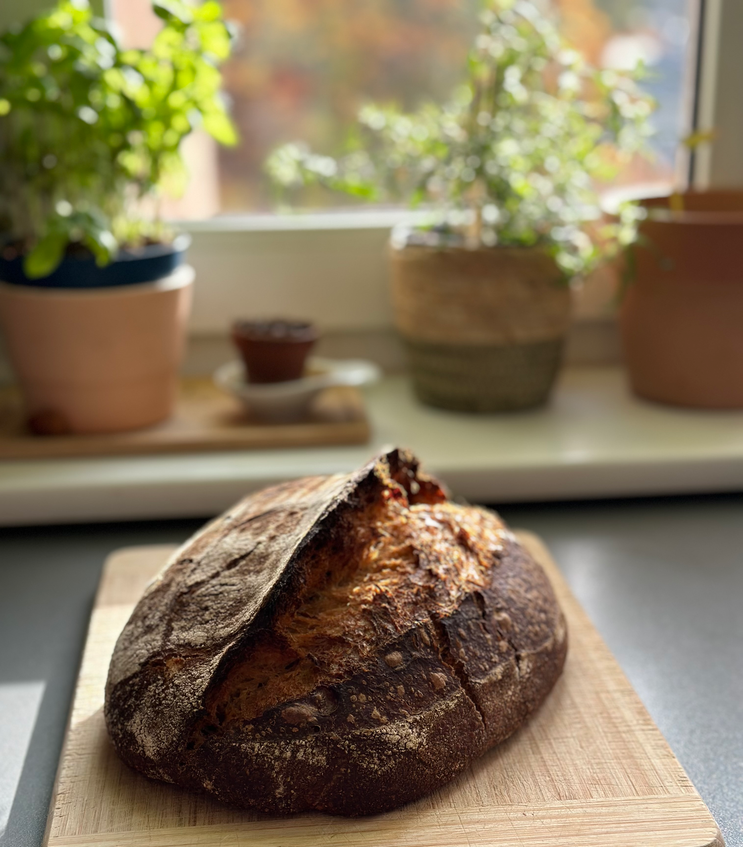 Bread Fairy artisanal crusty sourdough bread on wooden cutting board